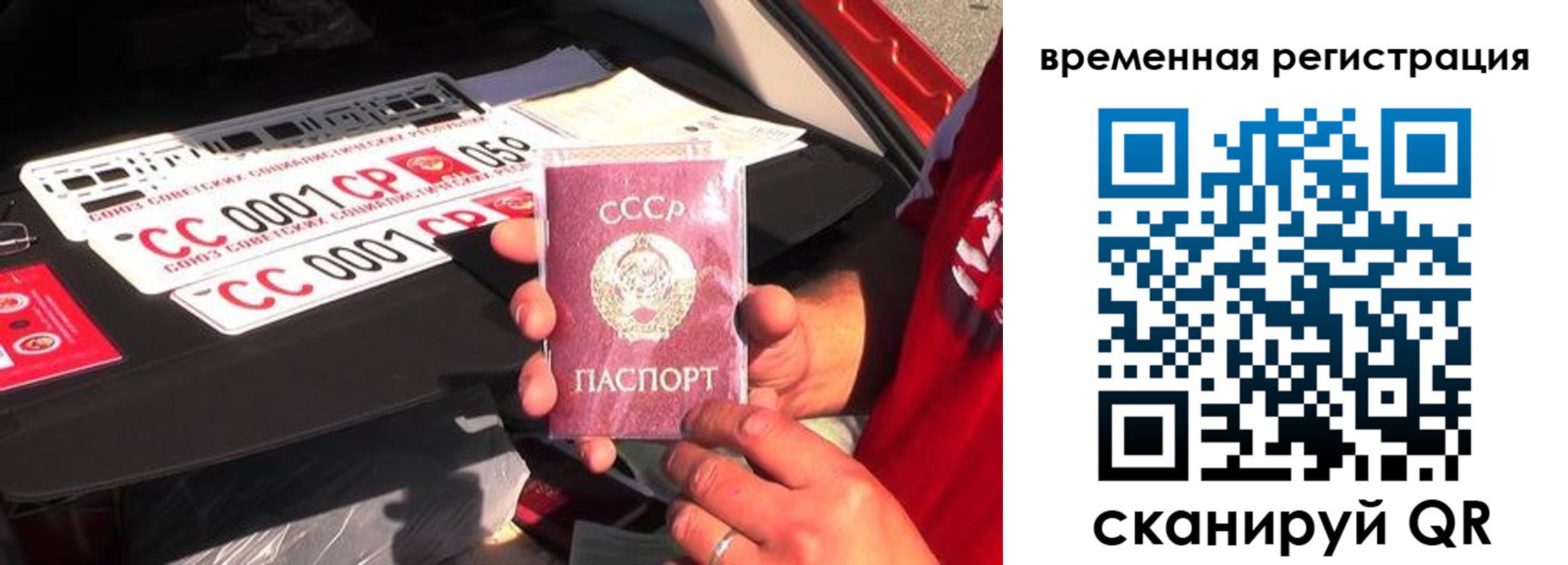 где прописаться в Лузе